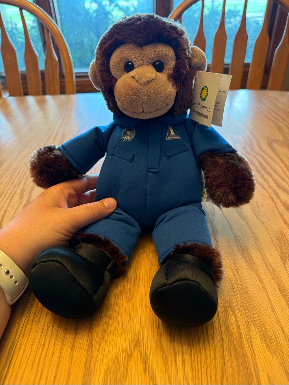Smithsonian Plush Monkey in Blue Astronaut Outfit - Kids Toy
